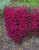 cd637b1792af00b4941b22b55c7cbb87.jpg