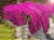 7ddcb2c05a18f850515970f84abfb41b.jpg