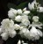 706dcc7dcdd4acdb2bf7859faca303fe.jpg