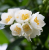 b4e8ab4476dfe31a57b88ddd4a0add7b.png