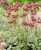 d544b55c9ed9ef41e4605cdbe127ee5d.png