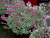55f6f1a44c6b859b08ab411e85a550fd.png