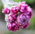 eb5505308affd315f960ec04535be4aa.png