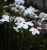 2a559096ecc992fd28e391f9c39620eb.png