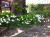 8fdeea86349feb2de17819e0291f6aa5.png