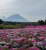 73b1a37809b96fd196aba78df84a3d45.png