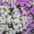 16fd08b91a84a9731be7785498a31910.png