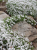 22db1fcf7dfd0f910a98aba2e50f67a0.png