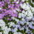 2b173460c158d5a7ad490d52f0f3feff.png