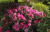 4b0475b79f8a5af69bb6f496a0e7119f.png