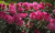 6e7bee44cd99cd573aee9b239a5ad916.png
