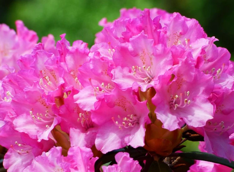 67d4ff8d58d4065ea3531ebe19d4e798.png