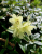 135cf7dcba170699e009b165c86a13a8.png