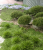 1f7fd921bd2ab8f63ad6f0de7c458d25.png