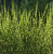 e6e775a472a8d8885233accc453ddc5e.png