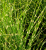 4a2e8298a612cd66206f249ae6ae3fc5.png