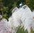 6b57a43638fbcb7baac5aa0c6f802fb5.png