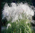 f10fc1d75a444ac2c958b8c5319ef4f9.png