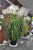 4b4d9d055adf4564882302105537feed.png