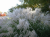 739104c9a7fbc7e660231727b7f9b0bf.png