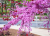 0462cbb9f37bebef16c4a8c0fadee2c2.png