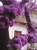 6caea904cb8ff3ad08a3a64df0e5cd91.png