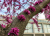 e72ff140825d7f4e1b2c962bbd483de2.png