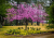 207e3ca12ef15ae7f02f71350d30fc58.png