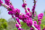 bc1d7ff824ed222cbb3b33226e8fb34a.png