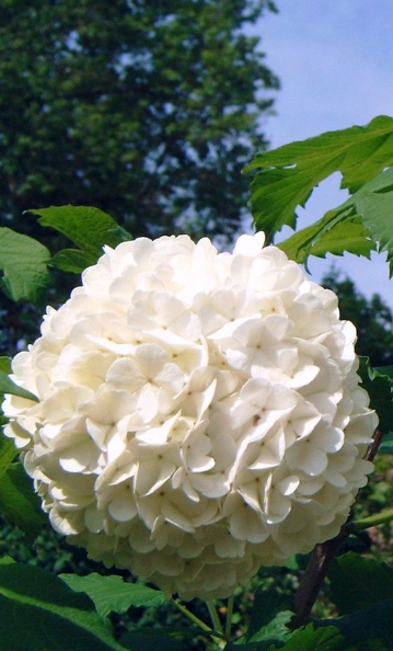a9d503dd94e220fa9359a6348e44ff16.png