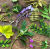 63be55d776e294dda2c33a596067688e.png
