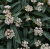 5c404aaa312b50588e26a990a54d95ae.png