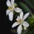 3ad514ea48829f80522e25f37445538d.png