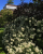 acb2f74006dba440efb95225d5bd6e18.png