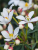 9f20edc6d7b196077cdf0425a2daba34.png
