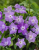 26a82cec8cd2dcb9ffa6ccf1a4ad3146.png
