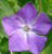 978a32626788f1dd00f4ccbcaadc00ad.png