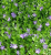 e6112b9c20c386beabd78810b33319cc.png