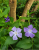cab669899382c5f88a8d37ee7de56d78.png