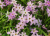 9699fadc1cfece32c7d1df834c810cbc.png