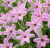 6d059892b2b7f15f67bc694c60b4e237.png