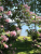 cdac0092ffec09253d2f408a7fe7e01d.png