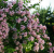 03561eaafd11cb480e64baa095f526a2.png