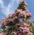 494f6813547b59ffc6b7b8716b0f887d.png
