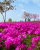311e59fb8421b0ba7cf682a58144e7cd.png