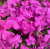 d9c7efe0ffd0f7119200bc684624085f.png