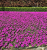 7612fe7db9d52ecc04351d2ba0bdd0f8.png