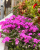 ff298a34ead7ef89cc057fc359b1c435.png