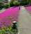 2a9200b8b78077481b5dcf96faa58c9f.png
