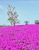 23710c9ed142283532bce70c24a09856.png